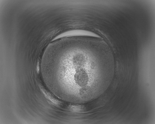 X0000085290069200703161501