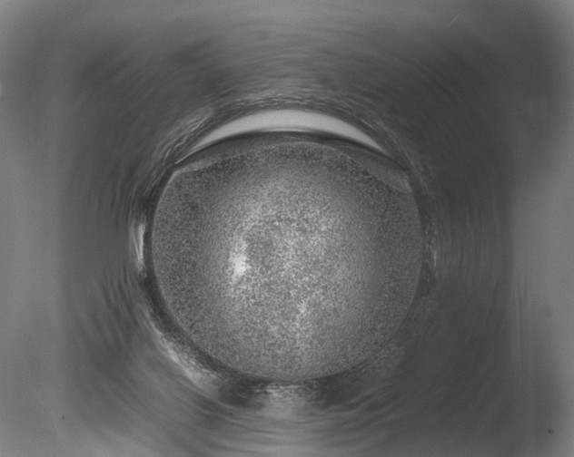 X0000085290070200703161501