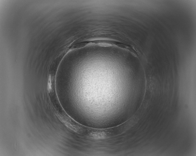 X0000085290075200703161501