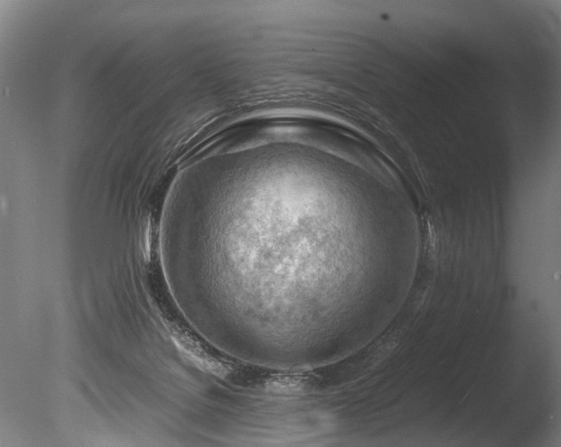 X0000085290076200703161501