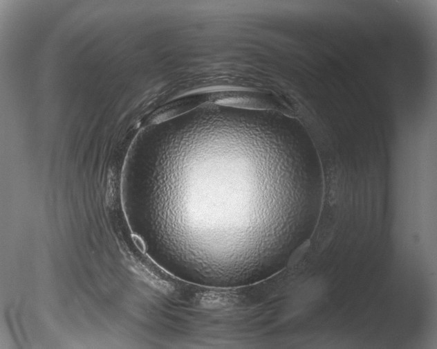 X0000085290077200703161501