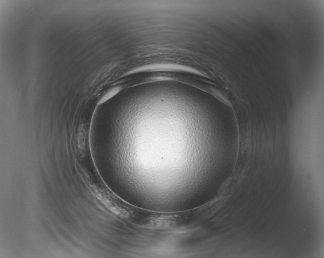 X0000085290078200703161501