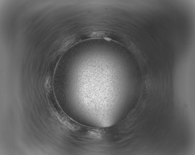 X0000085290079200703161501