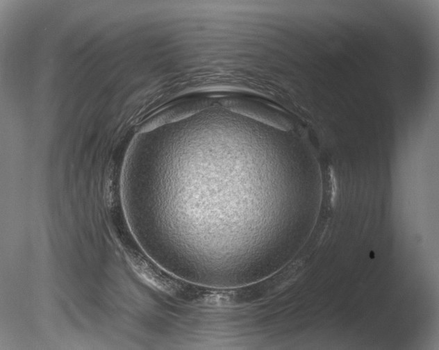 X0000085290080200703161501