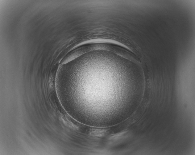 X0000085290081200703161501