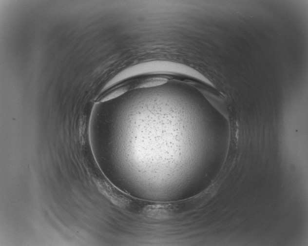 X0000085290082200703161501