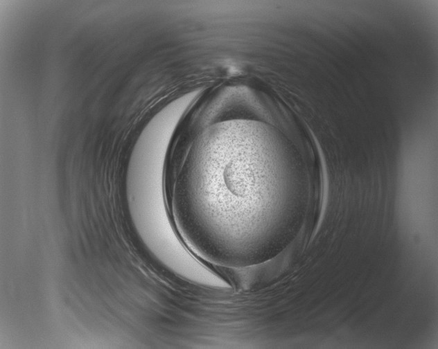 X0000085290084200703161501