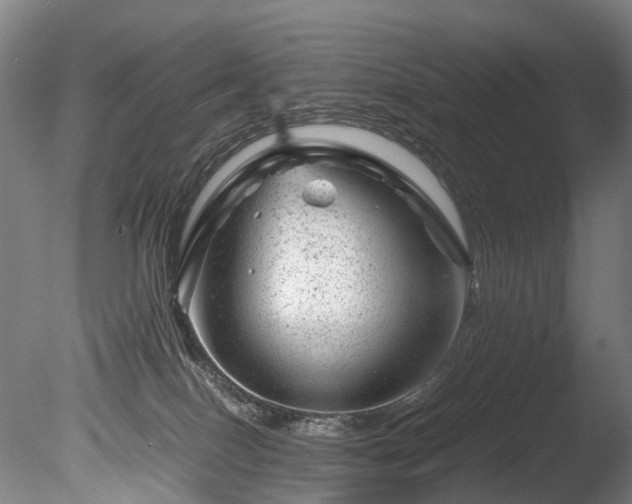 X0000085290086200703161501