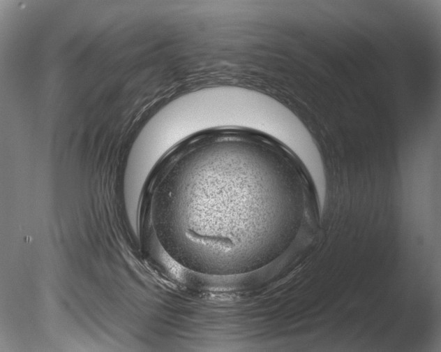 X0000085290088200703161501