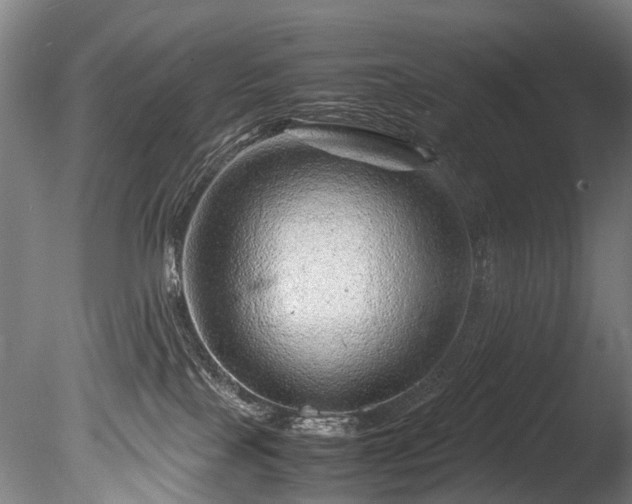 X0000085290089200703161501