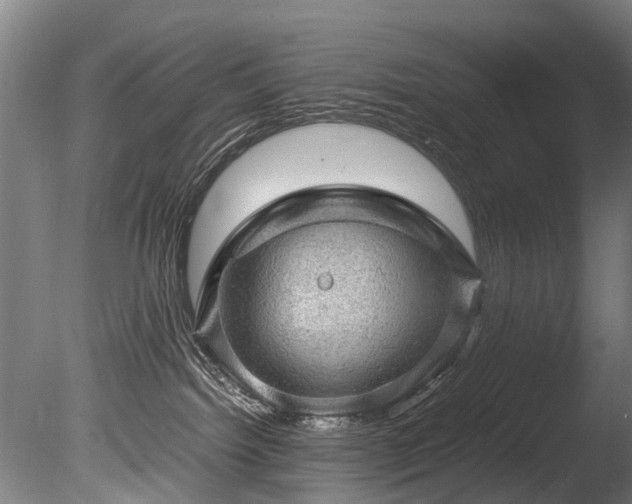 X0000085290092200703161501