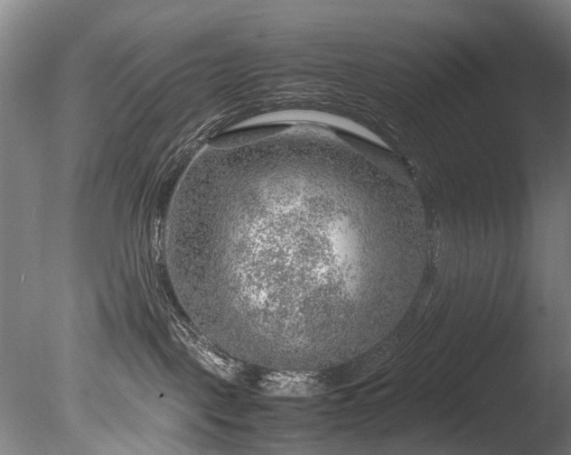 X0000085290093200703161501