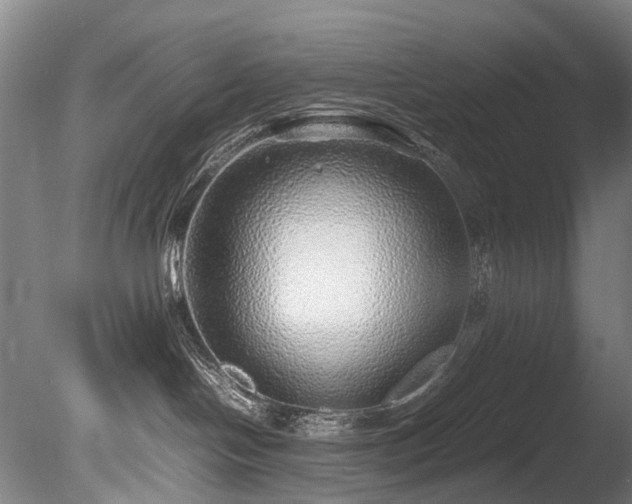 X0000085290094200703161501