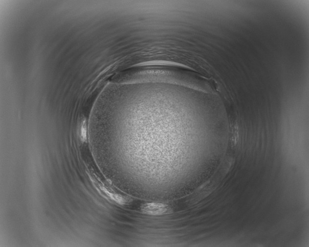 X0000085290095200703161501