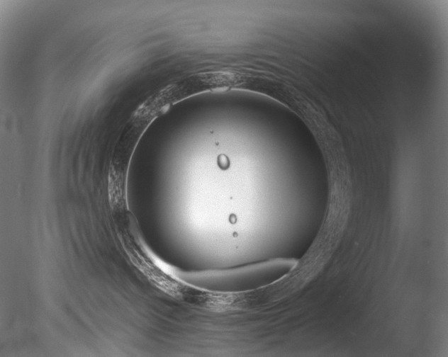 X0000085290096200703161501