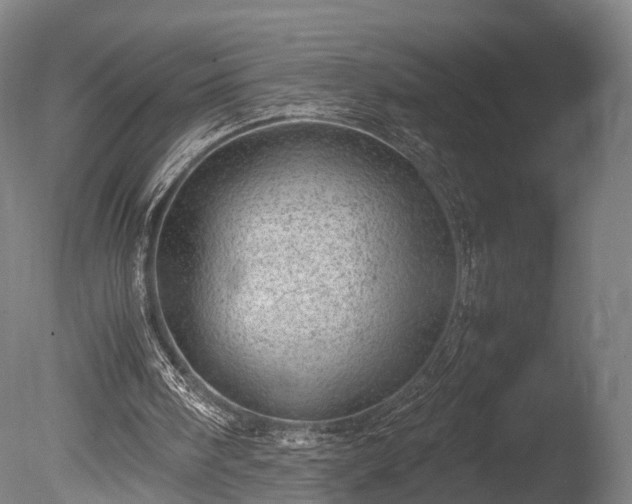 X0000085290098200703161501