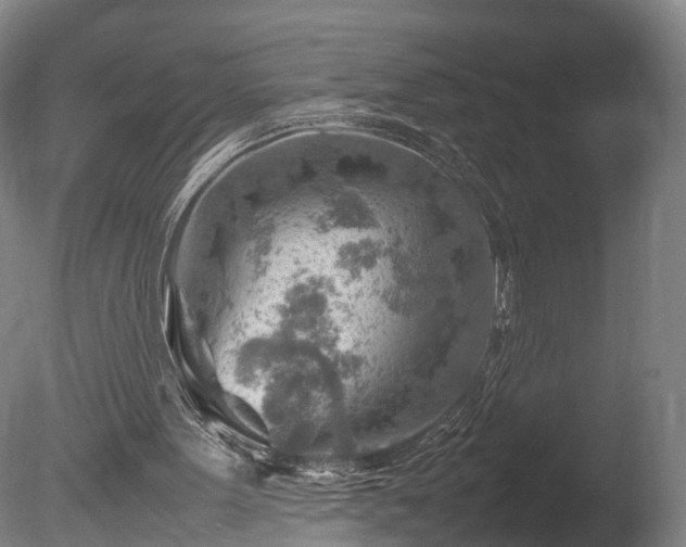 X0000085290099200703161501