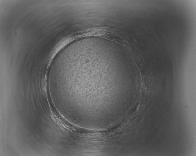 X0000085290100200703161501