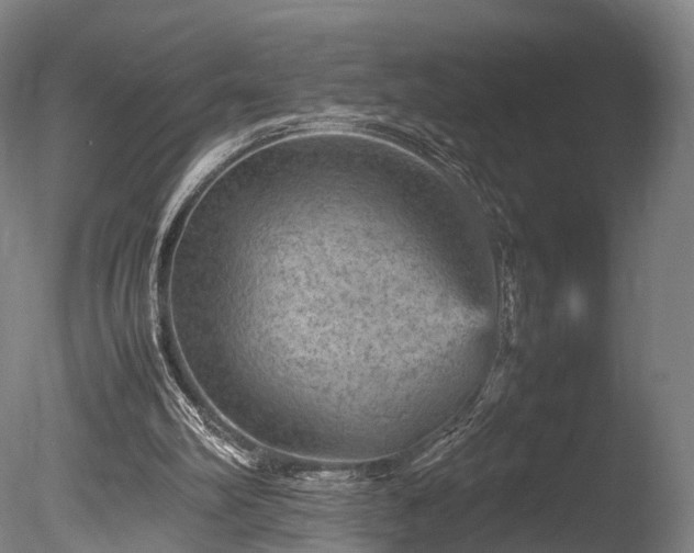 X0000085290102200703161501