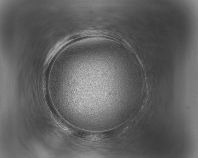 X0000085290103200703161501