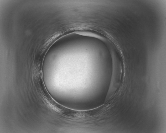 X0000085290105200703161501