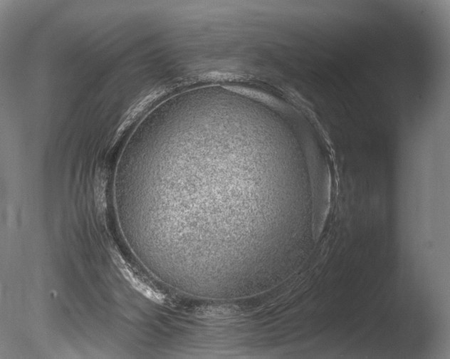 X0000085290106200703161501