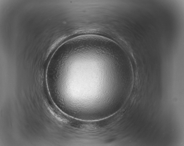 X0000085290107200703161500