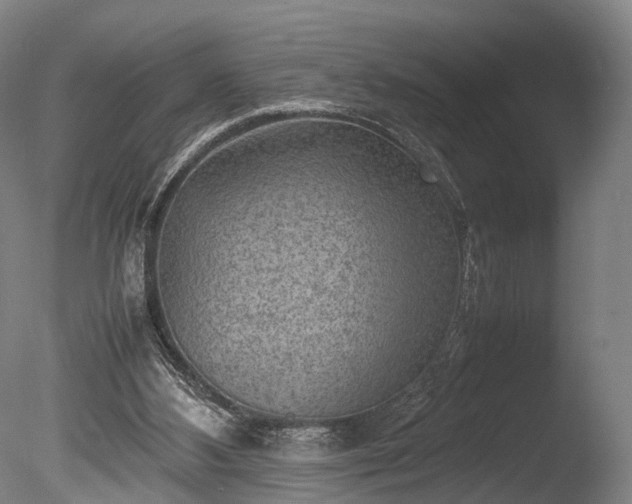 X0000085290108200703161500