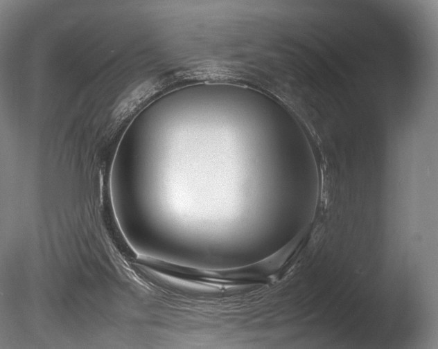 X0000085290109200703161500