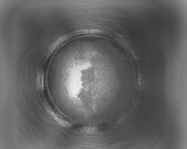 X0000085290110200703161500