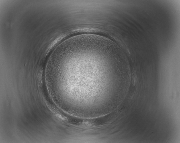 X0000085290111200703161500