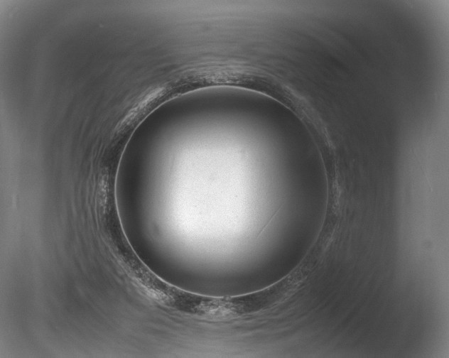 X0000085290113200703161500