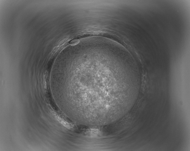 X0000085290114200703161500