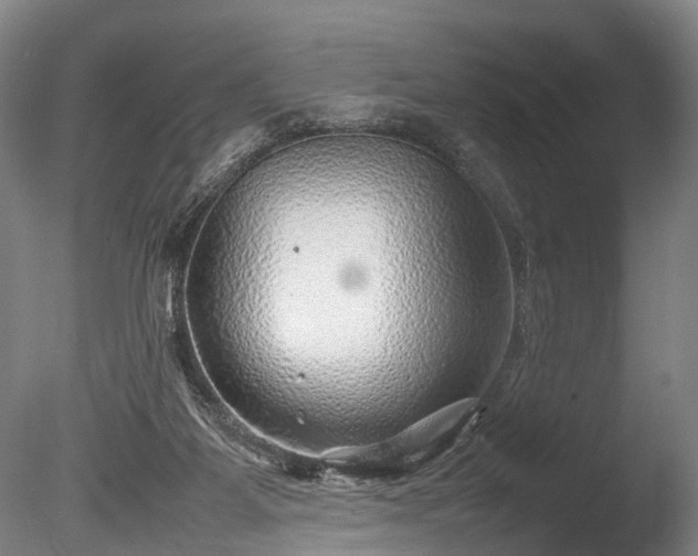 X0000085290115200703161500