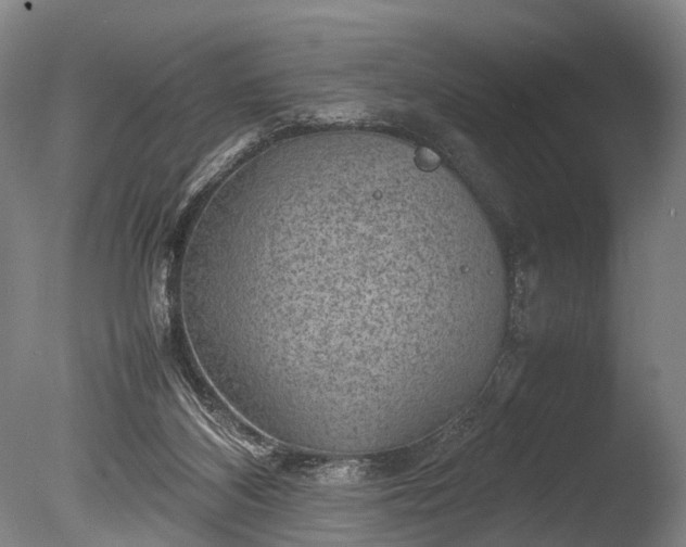 X0000085290116200703161500