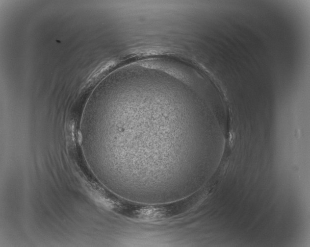 X0000085290117200703161500