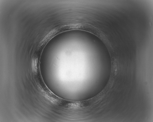 X0000085290118200703161500