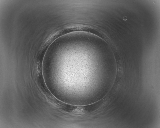 X0000085290119200703161500