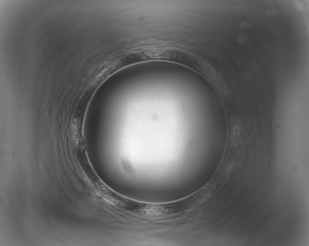 X0000085290121200703161500