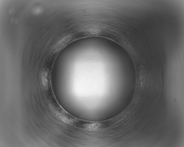 X0000085290122200703161500