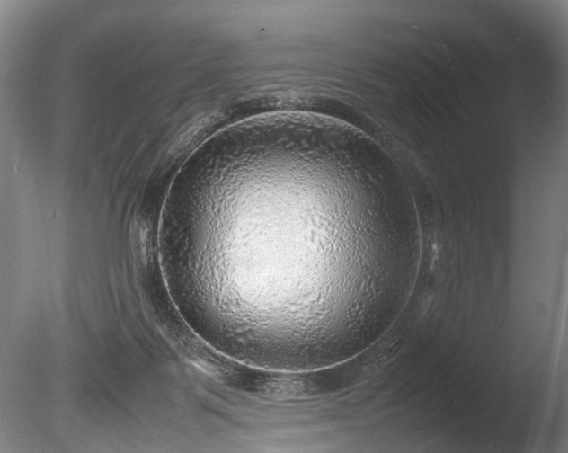 X0000085290123200703161500