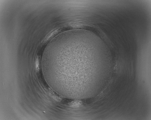 X0000085290124200703161500