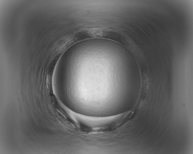 X0000085290125200703161500