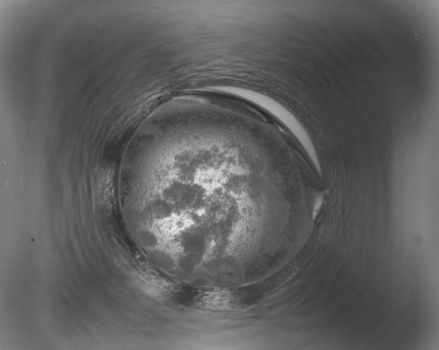 X0000085290127200703161500