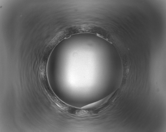 X0000085290129200703161500