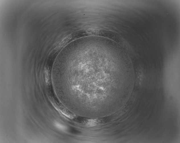 X0000085290130200703161500