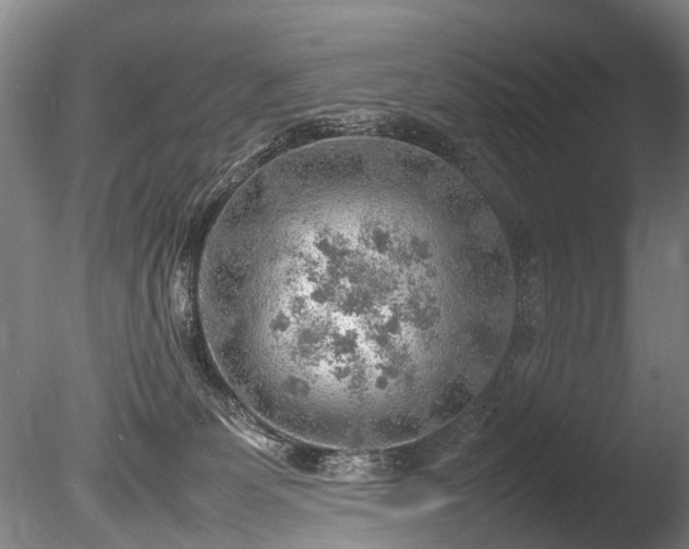 X0000085290131200703161500