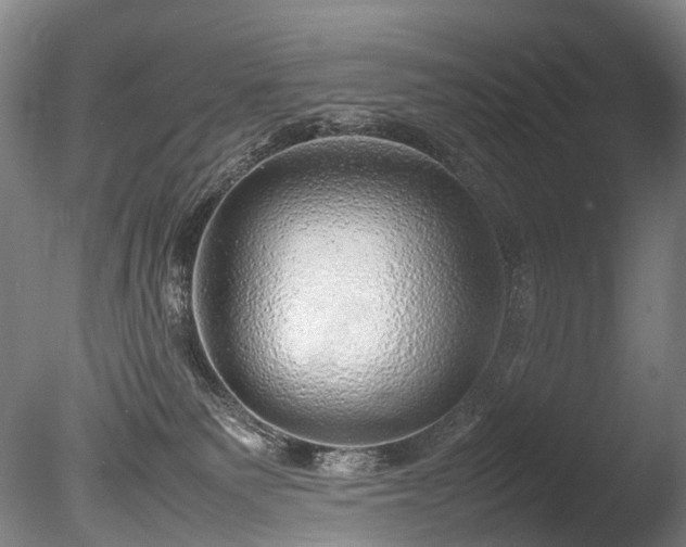 X0000085290135200703161500