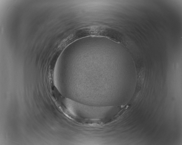 X0000085290137200703161500