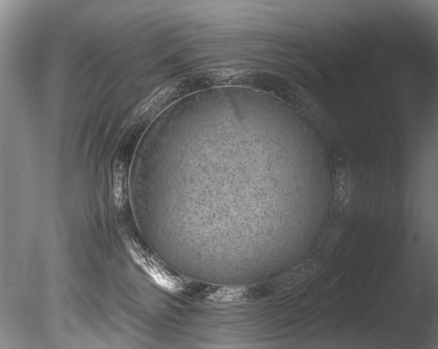 X0000085290138200703161500